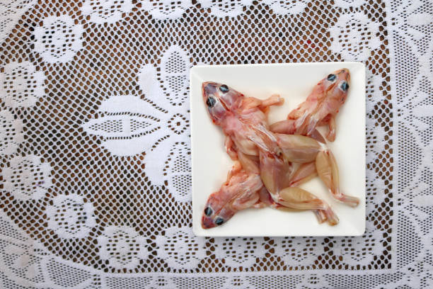 istock Skinned frog ready to cook, local food 1146606165