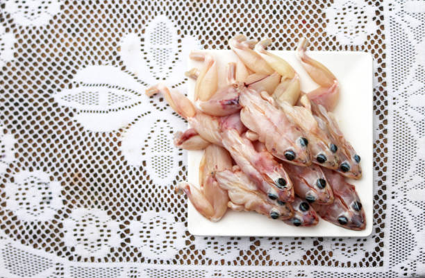 Skinned frog ready to cook, local food