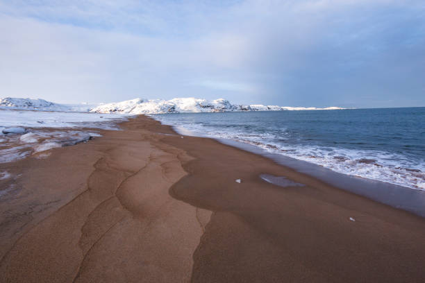 istock Barents Sea Shore. Kola Peninsula winter landscape 1146608990