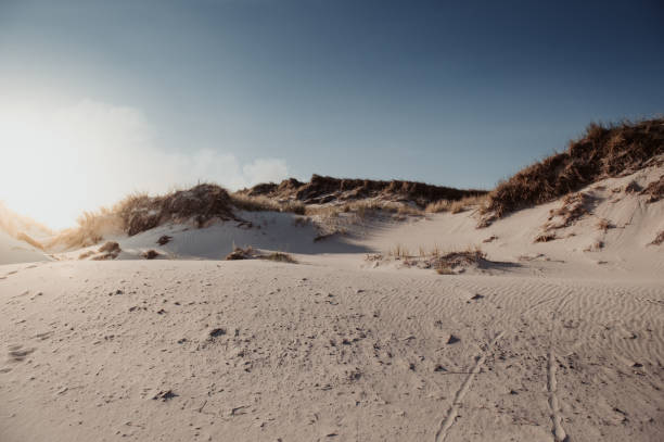 costa paisaje isla de amrum - amrum summer spring island fotografías e imágenes de stock