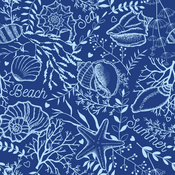 2,600+ Seaweed Wrap Stock Illustrations, Royalty-Free Vector Graphics ...