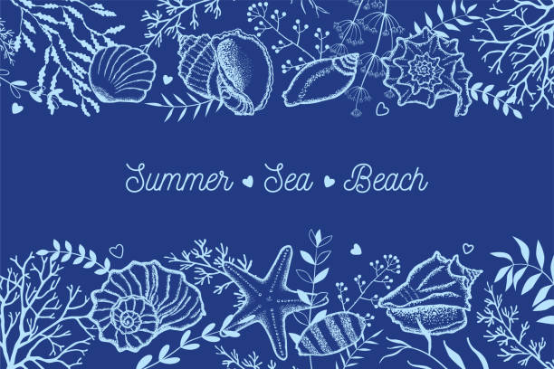 deniz suyu, deniz otu ve koyu mavi arka planda dallar. - sarmal deniz kabuğu illüstrasyonlar stock illustrations