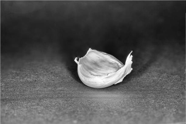 istock Spice mix in best studio quality photographed 1146619893