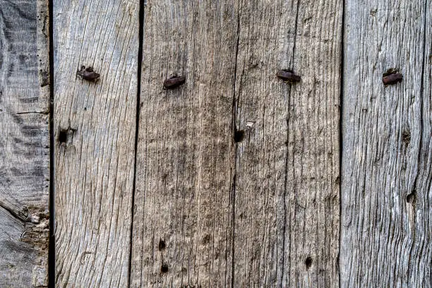 Old wooden texture background with old planks and nails.