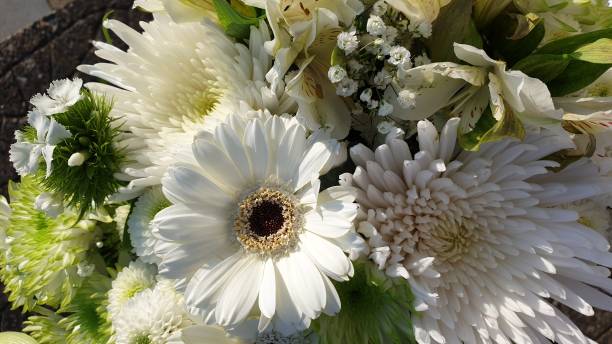 istock Cut white and green flowers in close up 1146621179
