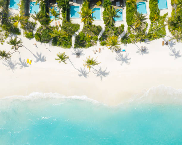 istock Beachfront Pool Villas by a Palm Tree Beach with white Sand, Turquoise Water, Maldives 1146622321