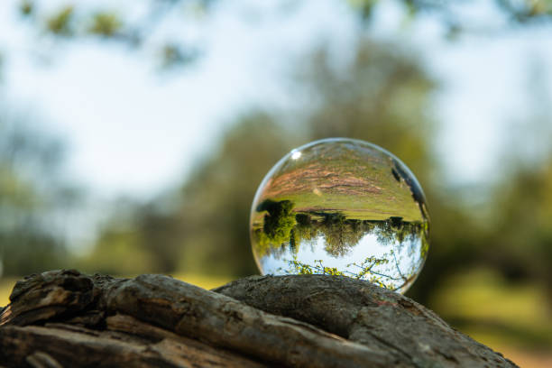 istock A glass ball lying on a branch of a tree 1146625185