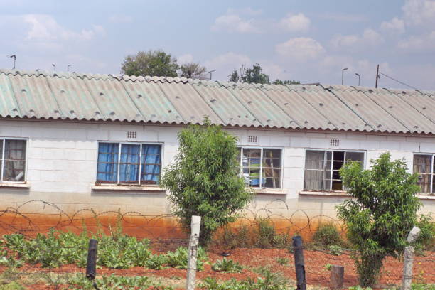 istock Apartments in Soweto 1146629740