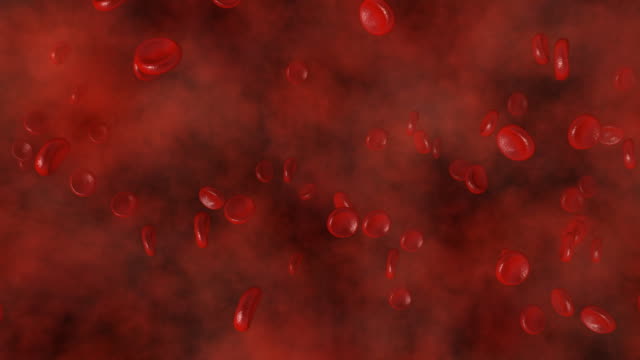 Red Blood Cells and Heartbeat