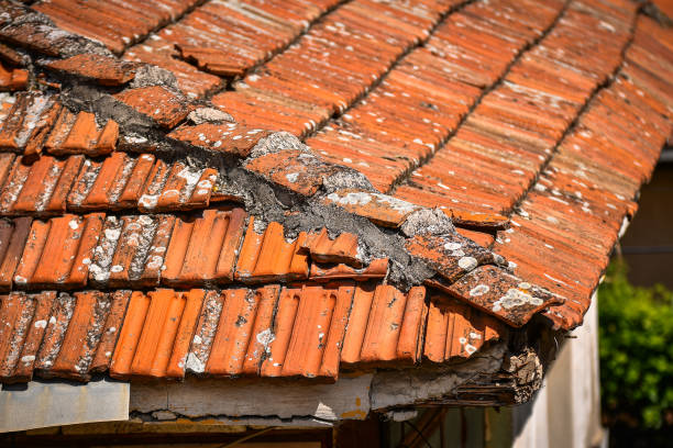 istock Old fashioned style roof tiles on rural building 1146641241