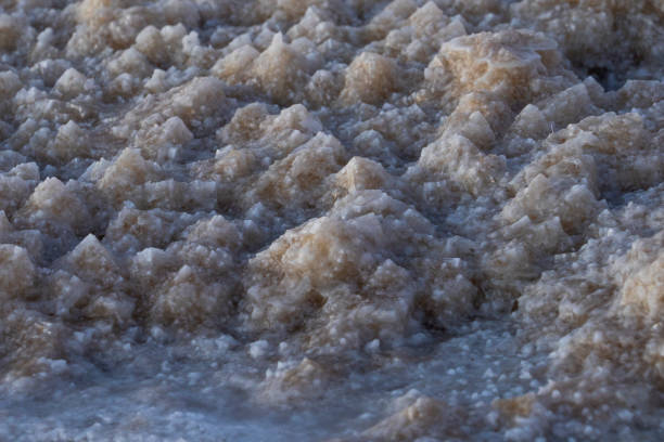 nahaufnahme des salzes der salzpläne des asale-sees in der danakil-depression in äthiopien, afrika - afar desert stock-fotos und bilder