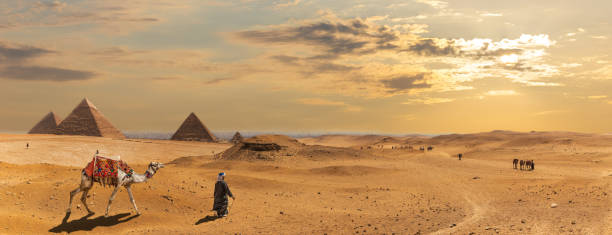 les pyramides de gizeh, panorama du désert avec les bédouins, egypte - africa archaeology architecture bedouin photos et images de collection
