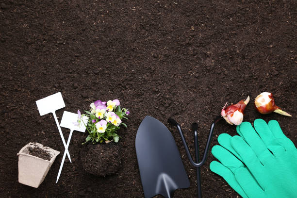istock Garden tools with flowers on the ground 1146641967