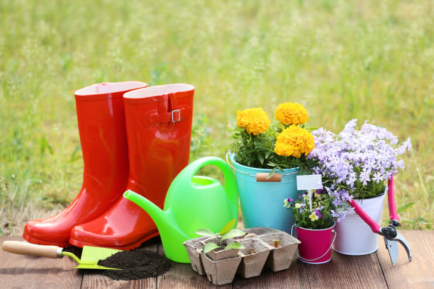 istock Garden tools with rubber boots and flowers on wooden board 1146642105