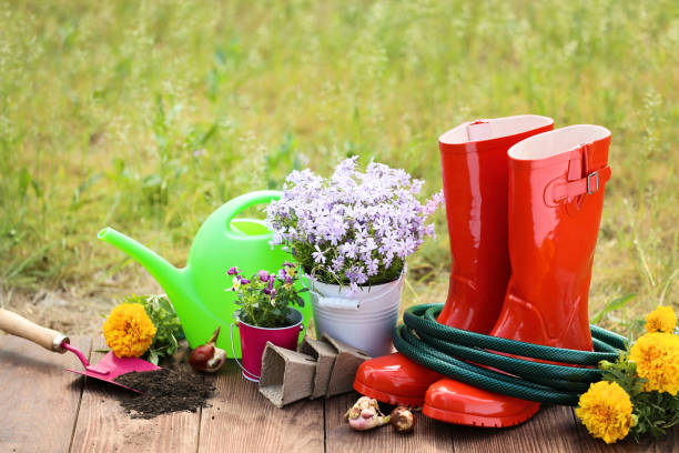 istock Rubber boots with hose and flowers on wooden board 1146643462