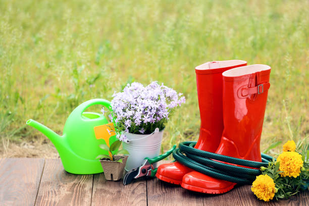 istock Rubber boots with hose and flowers on wooden board 1146643769