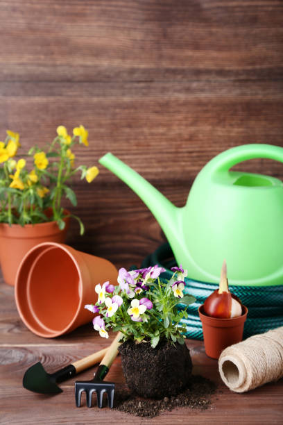 istock Garden tools with flowers on brown wooden table 1146643862