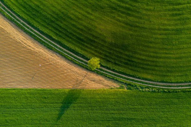 istock agriculture land drone view 1146644028