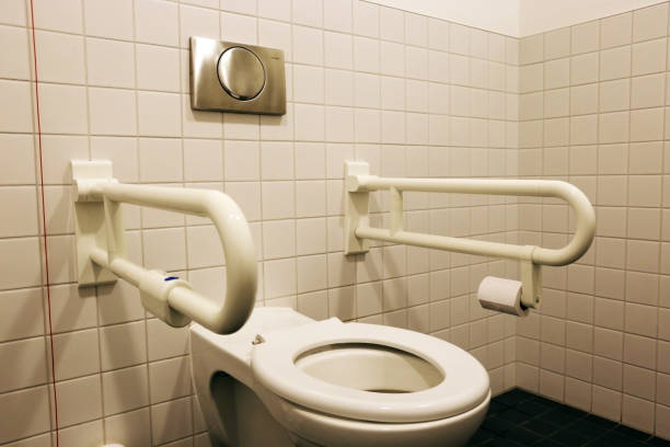 istock Disabled toilet, handicapped lavatory (interior shot) 1146645132