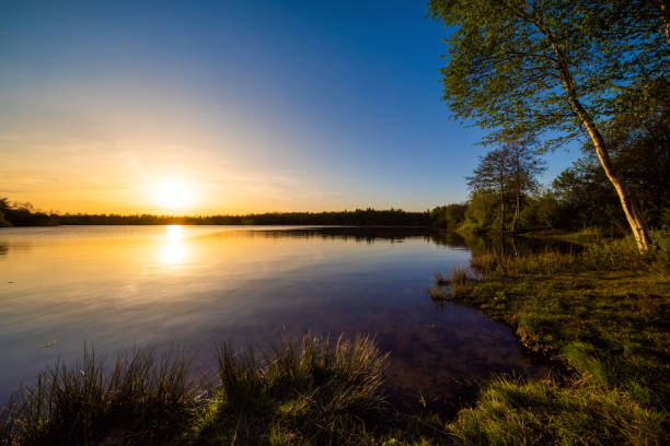 istock Beautiful sunset on a natural lake 1146645180