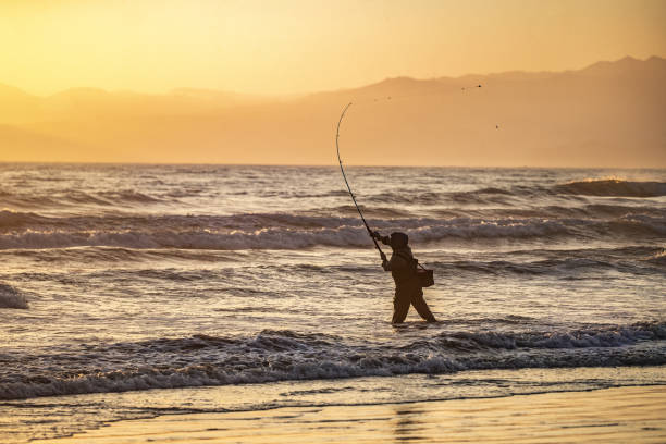 Lonely fisherman surf casting Lonely fisherman surf casting sea fishing stock pictures, royalty-free photos & images