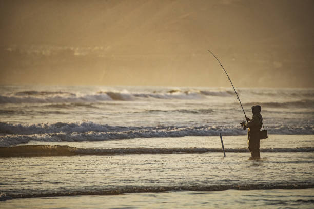 istock Lonely fisherman surf casting 1146646703