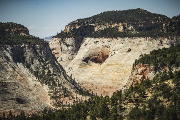 istock In the Zion National park, Utah 1146649177