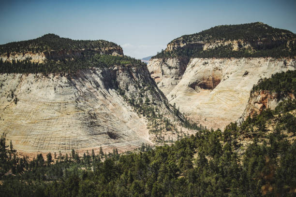 istock In the Zion National park, Utah 1146649178
