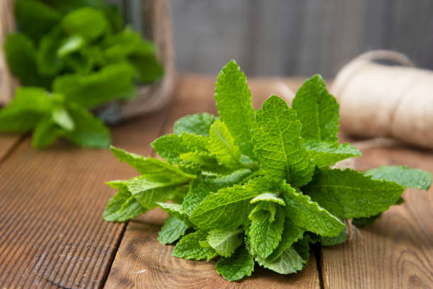 istock Close up mint leaves on wooden background. Summer drinks or dessert ingredient. Rustic style. Isolated mint 1146654269