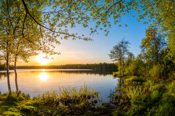 istock Beautiful sunset on a natural lake 1146654514