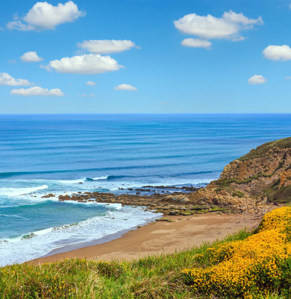 istock Beach Azkorri or Gorrondatxe, Spain 1146655682