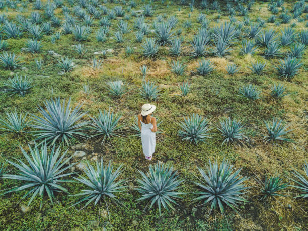 istock Woman travelling in Mexico 1146656756