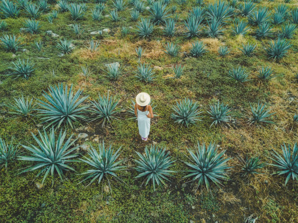 Woman travelling in Mexico