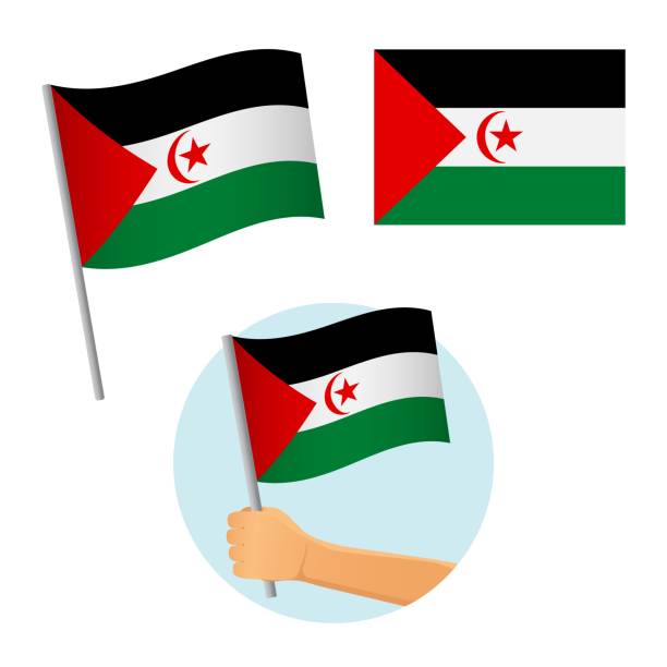 istock Sahrawi Arab Democratic Republic flag in hand 1146657144