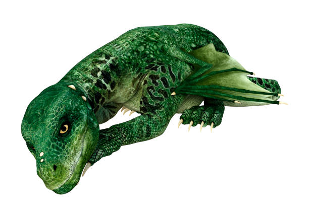 istock 3D illustration fantasy hatchling dragon on white 1146657911