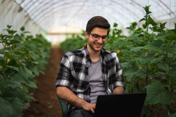 istock Smiling young technician works on laptop in greenhouse 1146657991
