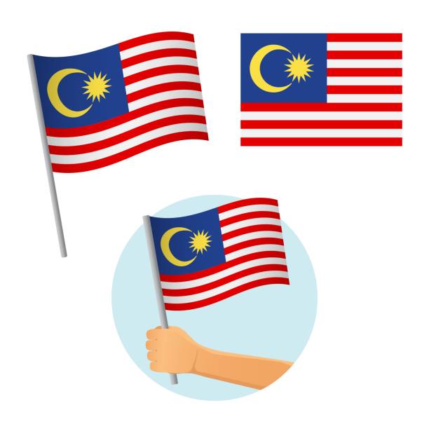 손에 말레이시아 국기 - 말레이시아 국기 stock illustrations
