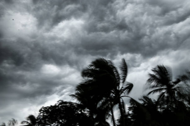 fani il ciclone - cyclone foto e immagini stock