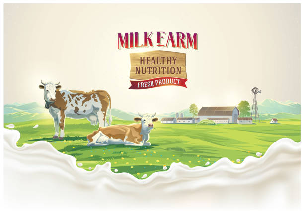 Cows in summer landscape and splash milk Two cows in the background of the summer landscape and splash from the milk, as well as graphic elements. herd of cows stock illustrations