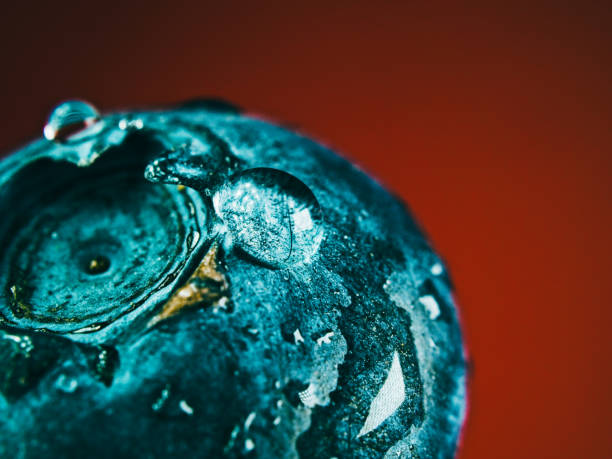 Blueberry in close-up background