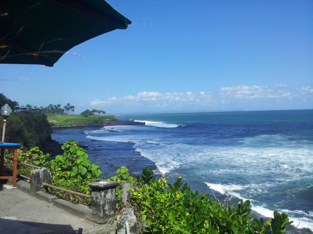 beach sun palm sand summer bali surfer