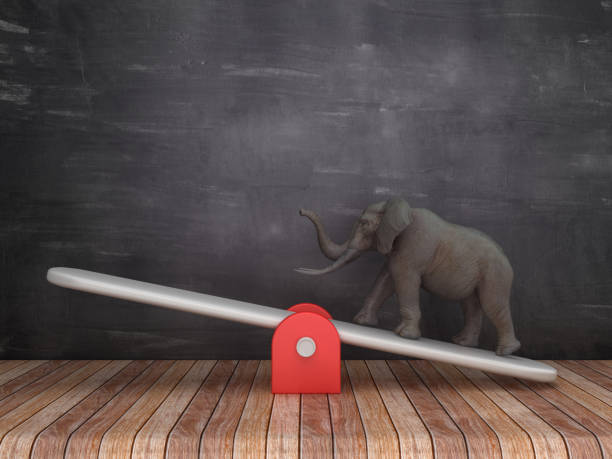 istock Seesaw Scale with Elephant on Chalkboard Background - 3D Rendering 1146686338