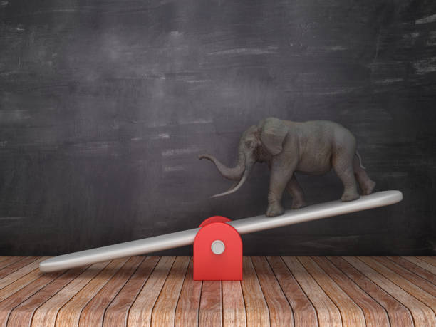 istock Seesaw Scale with Elephant on Chalkboard Background - 3D Rendering 1146686350