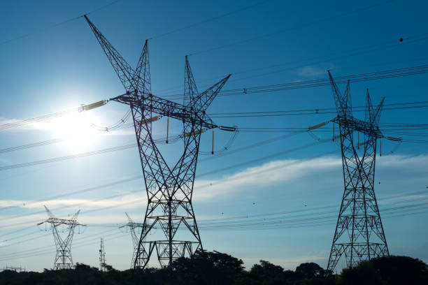 electric power lines coming out from a substation at foz do iguazu - torre de transmissão de eletricidade imagens e fotografias de stock