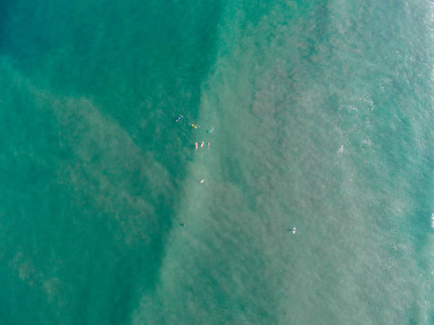 istock wave surfers in the ocean from above 1146686770
