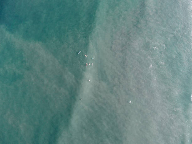 istock wave surfers in the ocean from above 1146686787