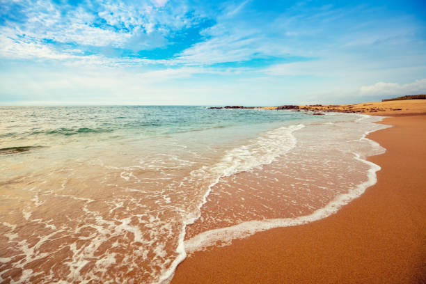 istock Sandy beach in the evening. Ocean on a sunny day 1146694664
