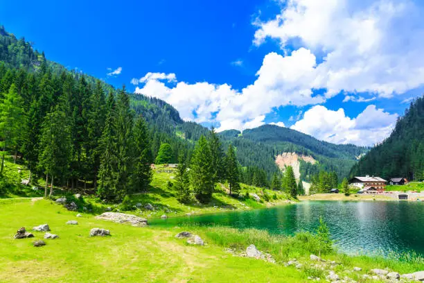 Lake, Summer, Water, Gosau, Austria