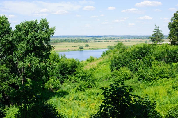 View on Oka River near Konstantinovo on a sunny summer day, ryazan, Russia