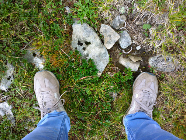 istock Feet on green grass in summer. 1146700781